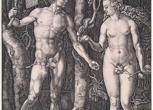 Albert Direr, "Adam i Eva", bakrorez, 16. stoljeće